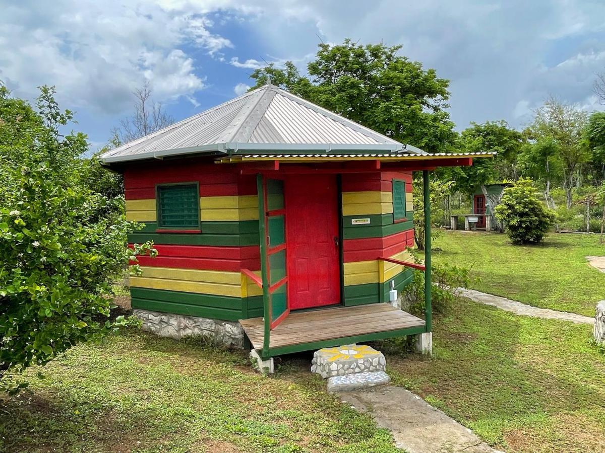 Judy House 2 - Lewis Backpacker Hostel Little Bay Esterno foto